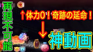 まさに神プ！再現不可能！！ヴァンパイアポップ編成で奇跡の延命！6億1400万点！！！【クッキーラン オーブンブレイク】