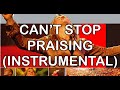 Can't Stop Praising (Instrumental) - Hope (Instrumentals) - Hillsong