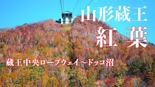 【山形蔵王の紅葉】蔵王中央ロープウェイ〜ドッコ沼