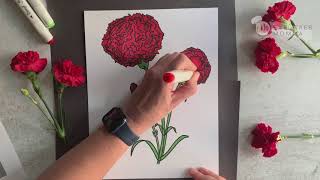 How to Draw a Carnation - Step by Step Tutorial for Beginners