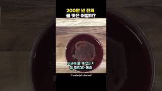 200만 년 전의 물 맛은 어떨까