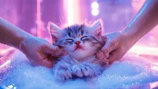 Kittens at the spa | Cult of Kittens