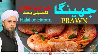 Jheenga - Halal ya Haram? | A Brief Discussion | Solve Your Problems | Ask Mufti Tariq Masood 🕌