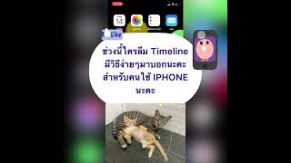 การดูตำแหน่งที่ตั้ง (Timeline) ย้อนหลังใน IPHONE