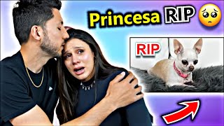 Princesa Passed Away Moment 🥺 RIP! | The Royalty Family Spotlight