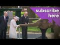 queen all smiles as she shakes hands with donald trump and melania trump