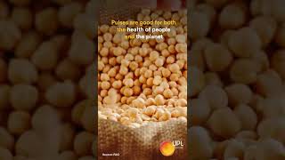 World Pulses Day 2023