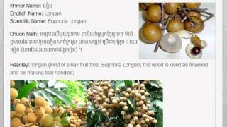 Khmer Fruit.Longan(មៀន)