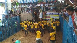 Chinnamanur Lakshmanan madu... Elumalai jallikattu..win...🚲🚲🚲