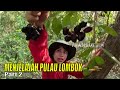 MENJELAJAH PULAU LOMBOK | JEJAK PETUALANG (02/12/23) Part 2