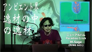 現代アンビエント【逸材の中の逸材】M. Sage