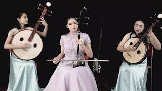 陳依妙二胡演奏《椰島風情》｜Chen Yimiao's Erhu Performs《Charm of the Tropical Island》
