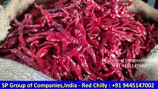 குண்டூர் மிளகாய் - Guntur Mirchi / Red Chilly Wholesale Market / SP Group Of Companies