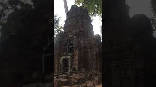 ប្រាសាទតាព្រហ្ម #taprohm #siemreap #siemreaptemples #cambodia