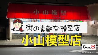 潜入！街の素敵な【模型店】「その1 」千葉県船橋市　キットに埋もれる体験を是非！【ガンプラ女子】