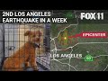 Dog wakes up from 4.4-mag Los Angeles earthquake