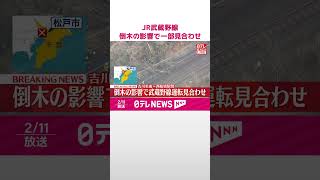 【速報】JR武蔵野線  吉川美南～西船橋で運転見合わせ  倒木の影響  運転再開の見込み立たず  #shorts