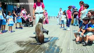 アクアワールド茨城県大洗水族館