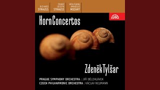 Concerto for Horn and Orchestra in C minor, Op. 8 - Allegro moderato /att./