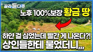 일반 씨앗을 뿌렸는데 돈 되는 다른게 나온다! 높고 메말라 농사짓기 힘들었던 거친 높드리 땅은 이제 부부에게 노후 보장 황금밭!│한국기행│#골라듄다큐