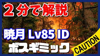 【FF14 暁月ID】Lv85ダンジョンのボスを2分で攻略【ギミックまとめ】