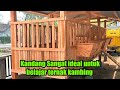 Ukuran kandang yang ideal untuk peternak pemula +62 838-6962-0470