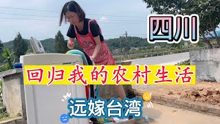 君媚远嫁台湾回四川，回到生我养我的地方，回归我的农村生活