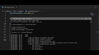 Socket Programming with SERVER & CLIENT UDP & TCP | Computer Networking Fundamentals