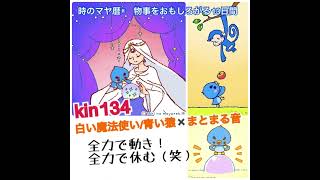 【kin134】マヤ暦に合わせるだけでうまくいく！白い魔法使い/青い猿✖️まとまる音