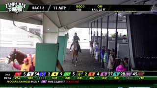 Tampa Bay Downs Live Stream