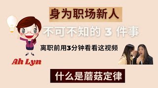 蘑菇定律 ：為什麼大多數職場新人，工作不三個月就想離職？你是否经历过职场“蘑菇期”？