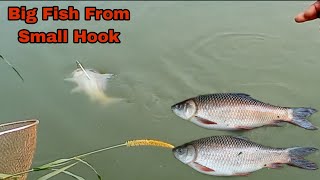 Fishing video||Catching Big Rehu Fish🎣 from small Hook🪝||Awesome Fishing/Incredible Fishing 🎣#viral