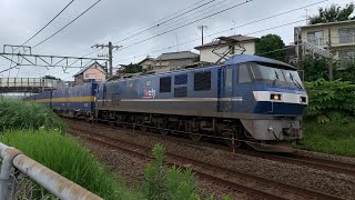 貨物列車撮影記 東海道本線 草薙～清水間 2020/7/23