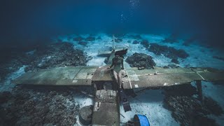 Airplane Wreck【 菲律賓薄荷島潛點｜沈飛機】自由潛水Freediving｜Panglao Bohol,  Philippine