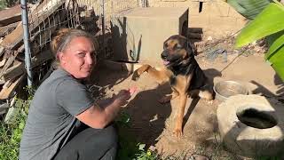 Dog Rescued After 3 Years in Captivity! - Takis Shelter