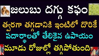 జలుబు దగ్గు కఫం త్వరగా తగ్గడానికి ఇంటిలో దొరికే పదార్థాలతో తేలికైన ఉపాయం మూడు రోజుల్లో తగ్గిపోతుంది