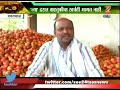 peekpani farmer in problem after pomegranate price fall