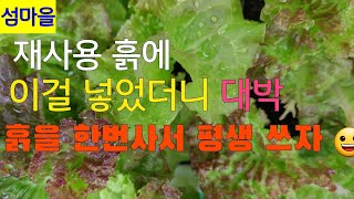 꽃보다상추38                                          재사용 흙에 이걸 넣었더니 👍👍대박     👉새 흙보다 더 좋아요 👉안보면 손해😀