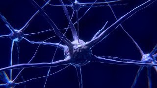 Selecting a Data Science Masters