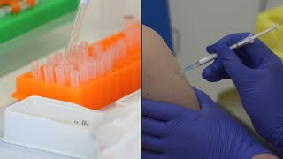En ensayo clínico una decena de 119 proyectos de vacuna contra la COVID-19 | AFP