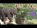 Oklahoma City Zoo Tour & Review with The Legend