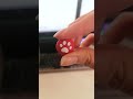 🐾 Geekshare Nintendo Switch Paw Thumb Grips #shorts