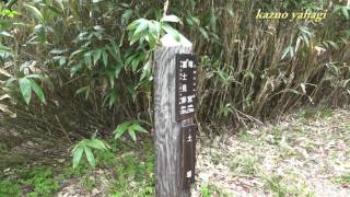 初夏の尾瀬 鳩待峠から竜宮へ 2016年6月6日