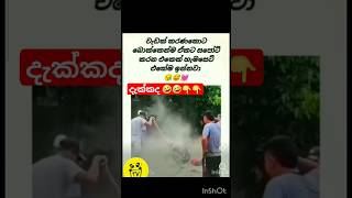 නෑ නෑ තාම දැක්කේ නෑ 🤣🤣🤣#funny #tiktok #trending #viral #dance #shorts