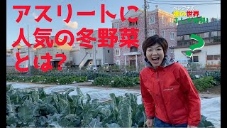 小谷あゆみの【畑の世界ふしぎ発見！】え！あの野菜がシリーズ第２弾！こ～んな大きな葉っぱに覆われていたんですね。世田谷で野菜作り～家庭菜園をはじめよう〜