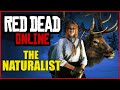 NATURALIST: HOW TO SEDATE ANIMALS & MORE in Red Dead Online!