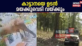 Mission Belur Makhna | ഒരുക്കങ്ങൾ അവസാന ഘട്ടത്തിൽ ; കാട്ടാനയെ ഉടൻ മയക്കുവെടി വയ്ക്കും | Wayanad