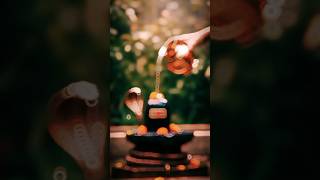 Shivratri Puja Mahadev WhatsApp status // #bhaktishots4k #viralshots4k #jaimahakal44i New video