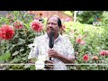 Malayali Philip Cheriyan's Flower Garden in New York  | America Ee Aazhcha 28 Sep 2020