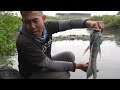 jadi virall lokasi mancing full ikan nila babon idaman pemancing liar